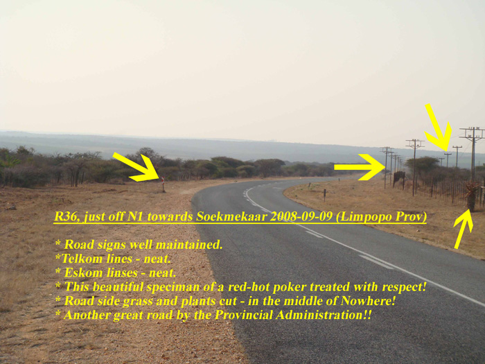 PositiveSA - 2008-09-09_R36_Road reserve mowing grass